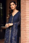 Charizma Farasha Chiffon Inlay D-05